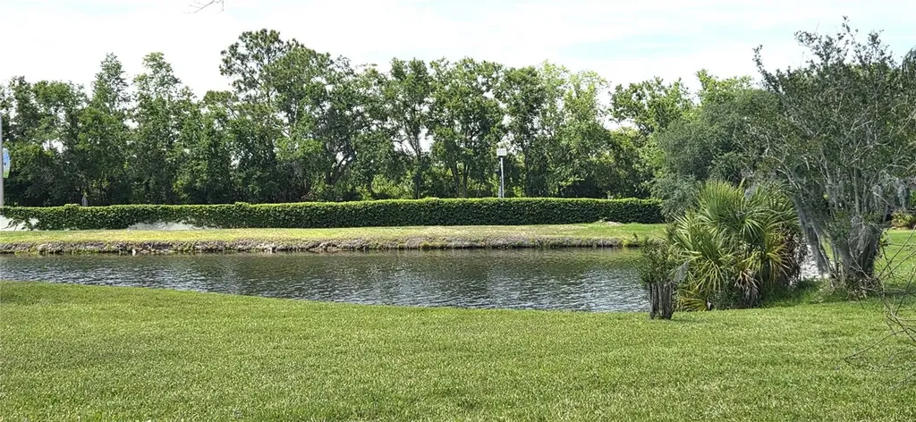 3904 Hidden Spring Place Valrico FL 33596