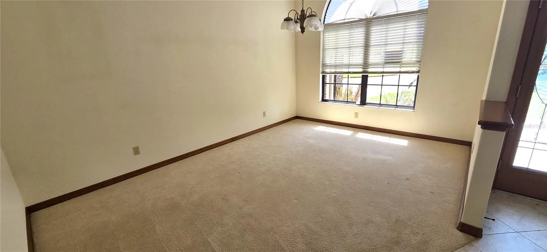 3904 Hidden Spring Place Valrico FL 33596