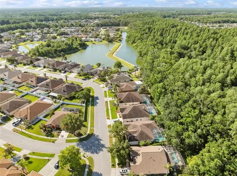 29520 Forest Glen Drive Wesley Chapel FL 33543