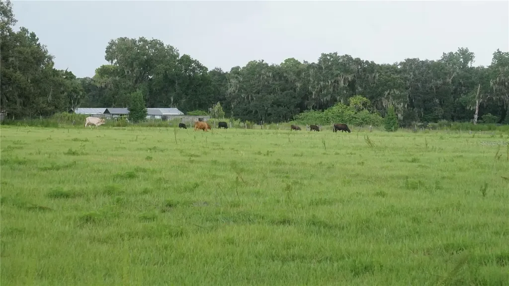 Durant Road Dover FL 33527