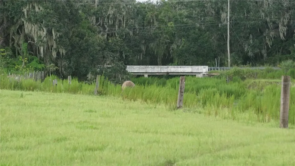 Durant Road Dover FL 33527
