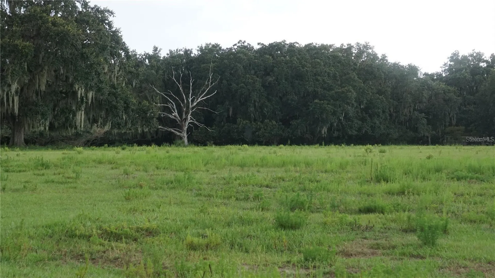 Durant Road Dover FL 33527