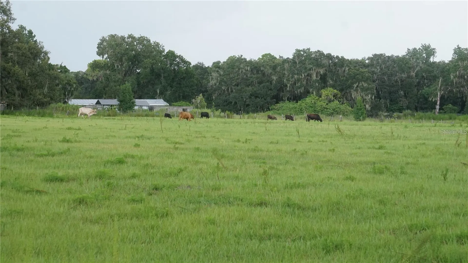 Durant Road Dover FL 33527