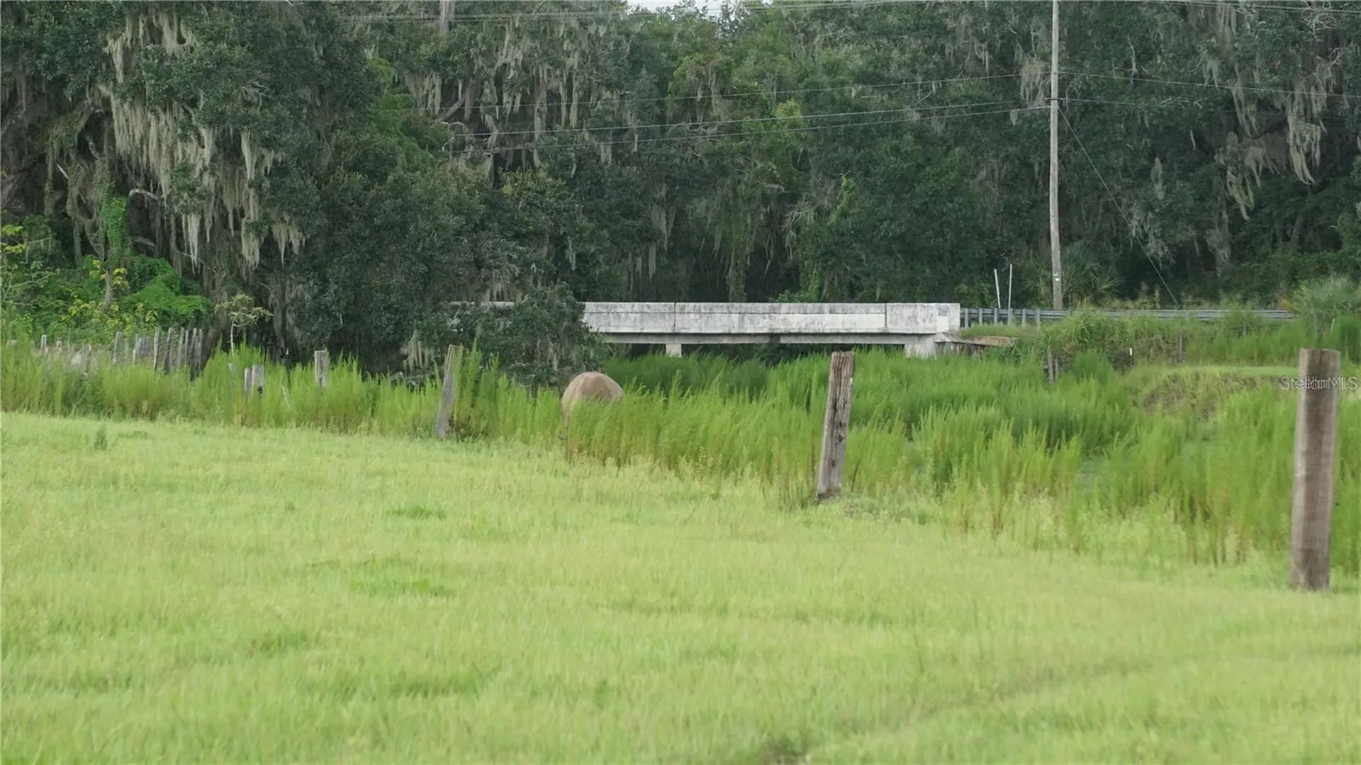 Durant Road Dover FL 33527