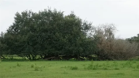 Durant Road Dover FL 33527