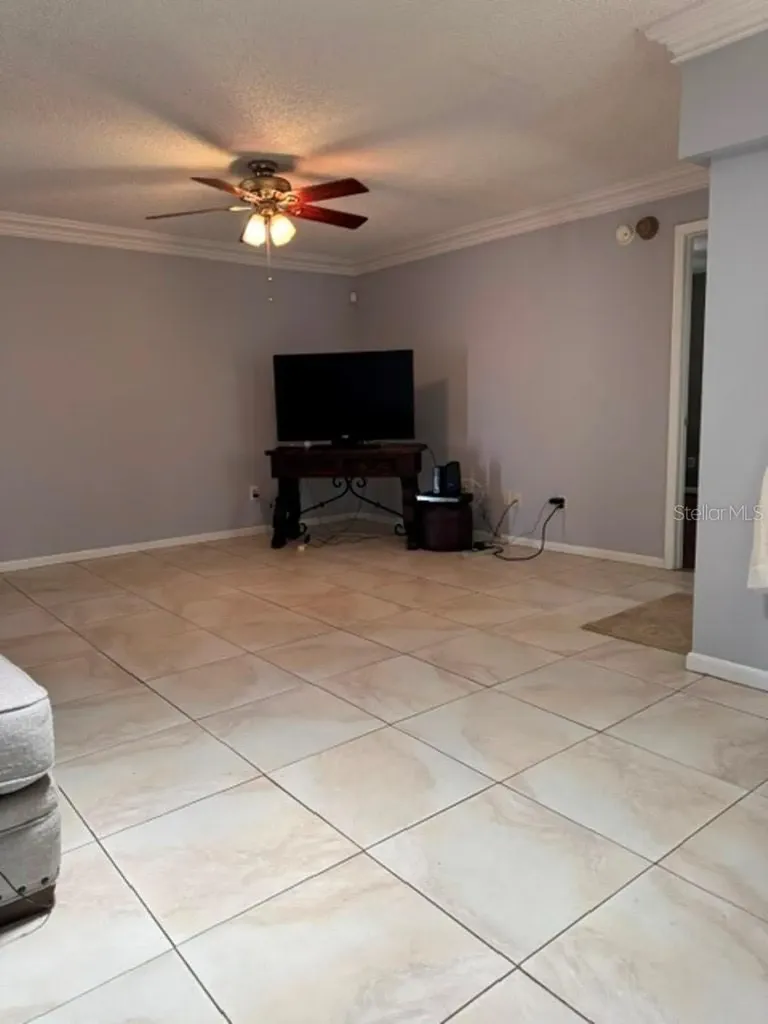 10617 Fairfield Village Drive Tampa FL 33624