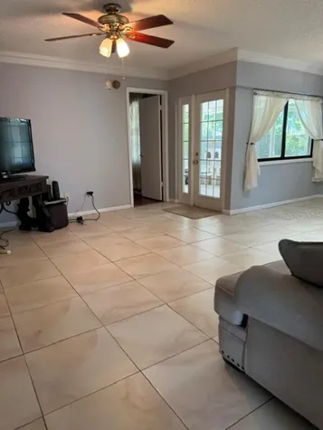 10617 Fairfield Village Drive Tampa FL 33624