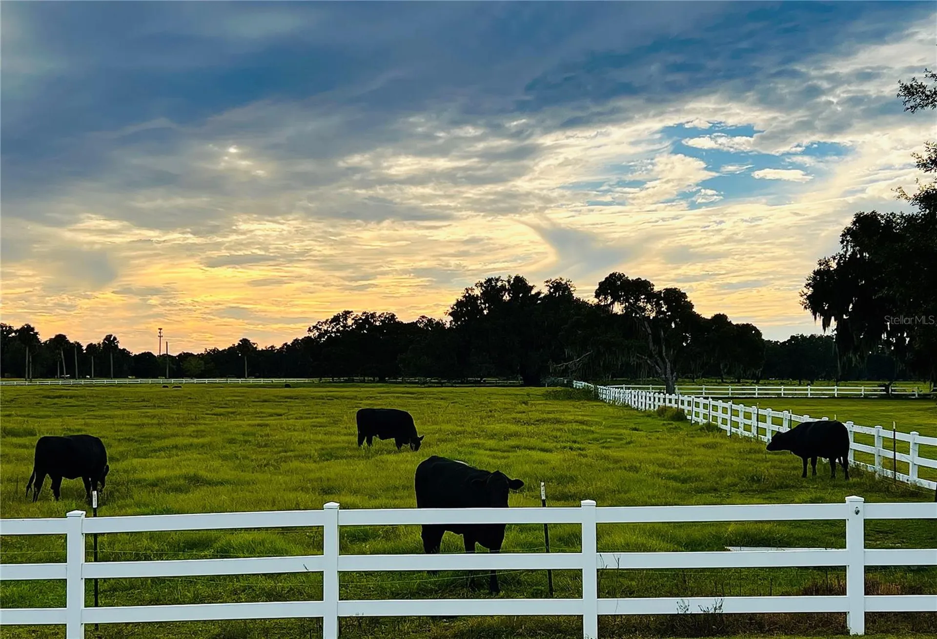 9381 SE 47th Way Webster FL 33597