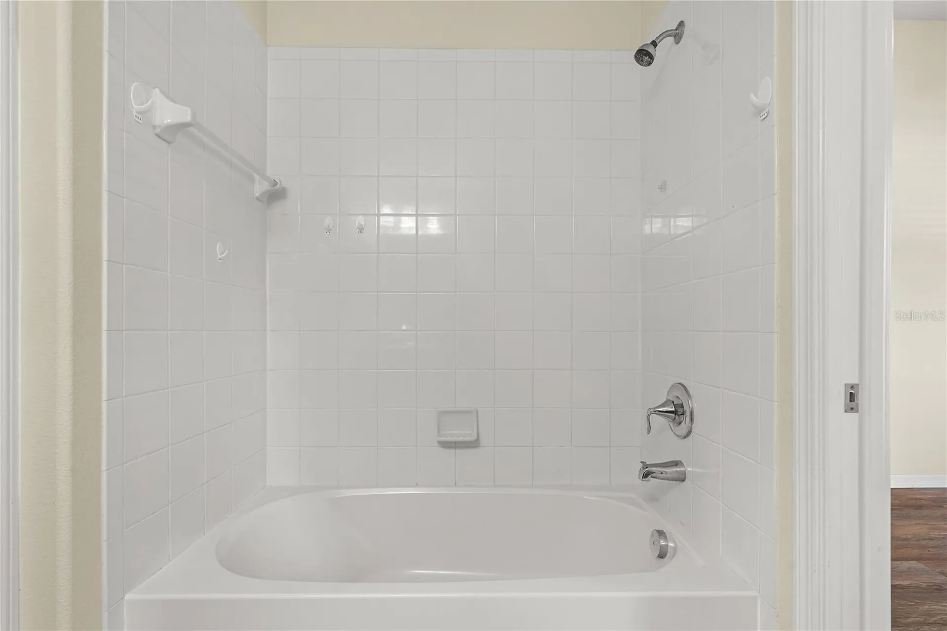 13181 Royal Pines Avenue Riverview FL 33579