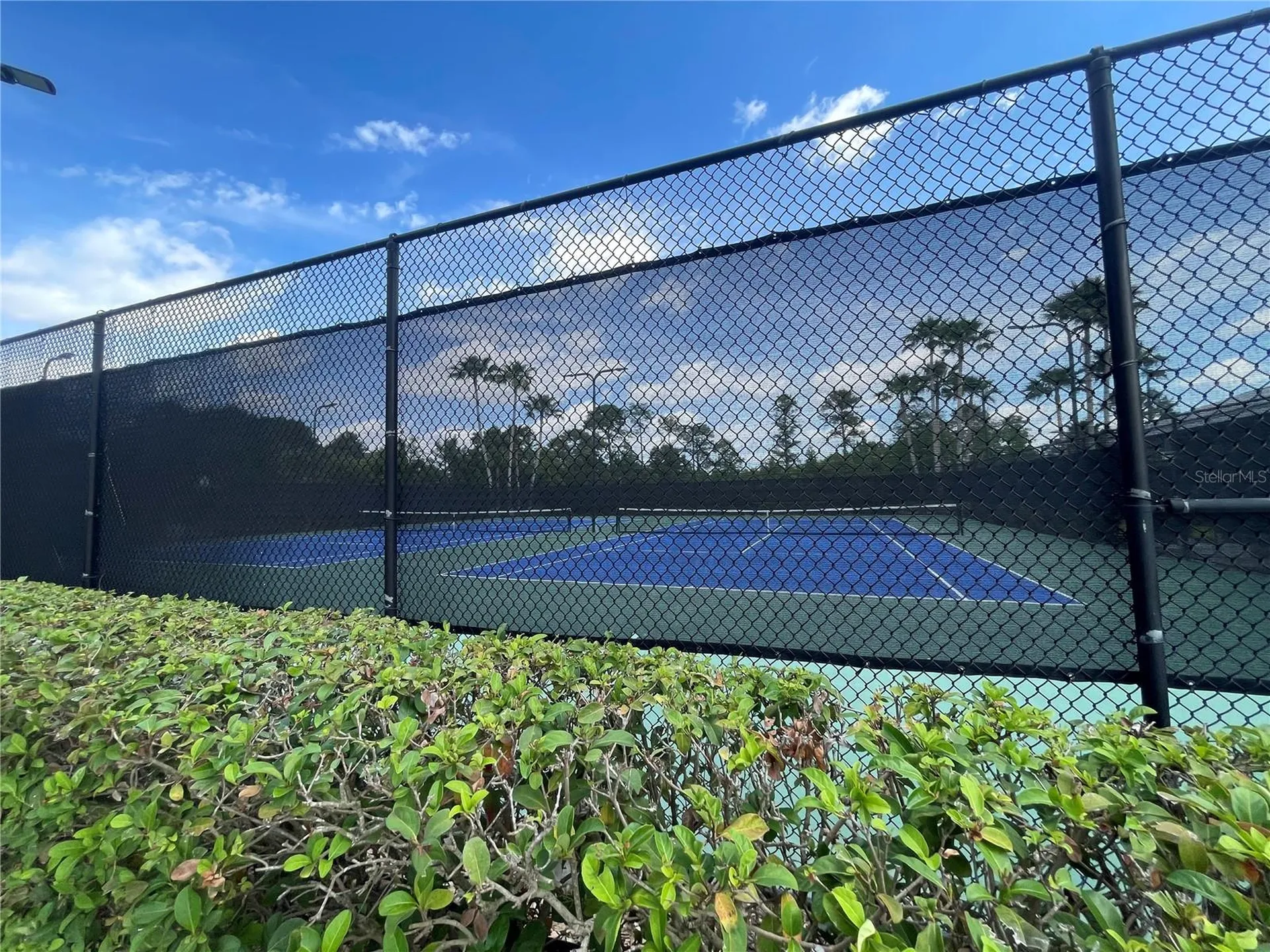 2469 Guiana Plum Drive Orlando FL 32828