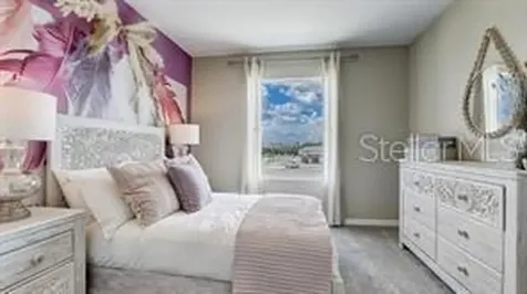 31291 Midnight Sun Way Wesley Chapel FL 33545