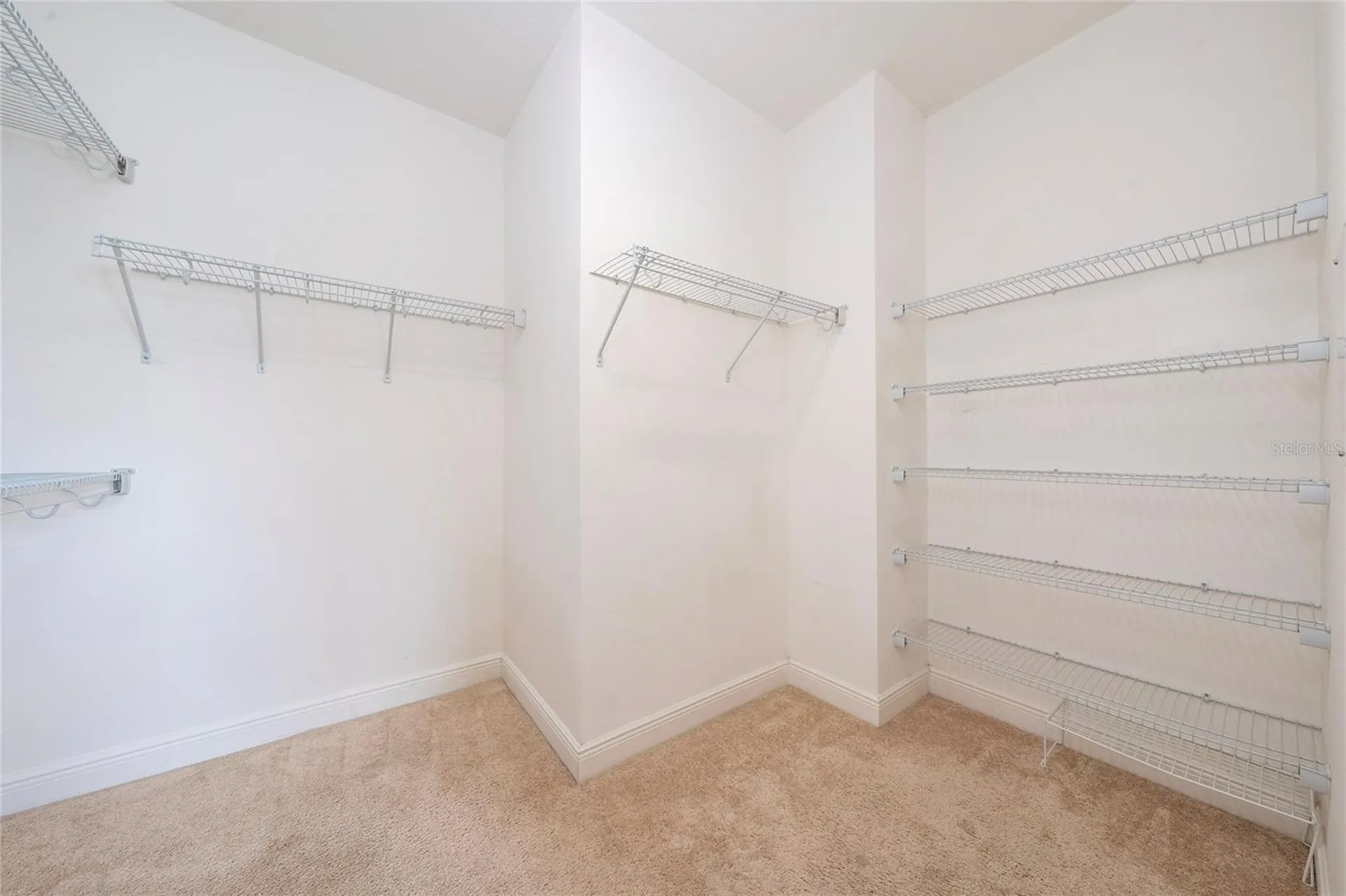 14017 Tarvin Street Orlando FL 32832