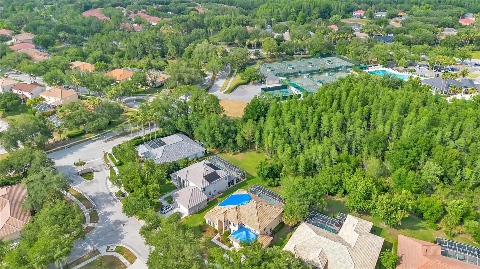 18013 Forest Retreat Lane Tampa FL 33647