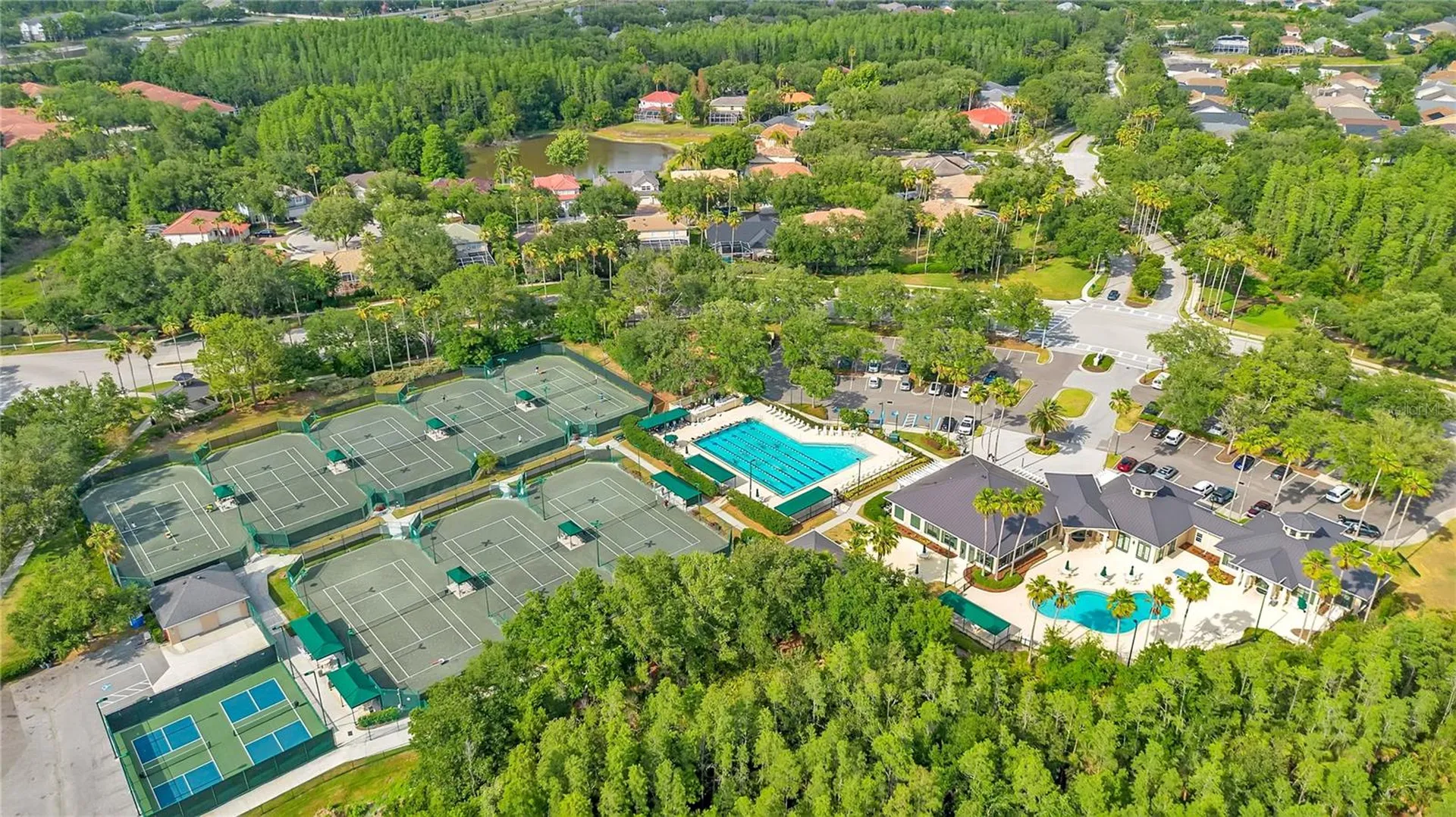 18013 Forest Retreat Lane Tampa FL 33647
