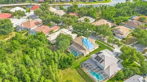 18013 Forest Retreat Lane Tampa FL 33647