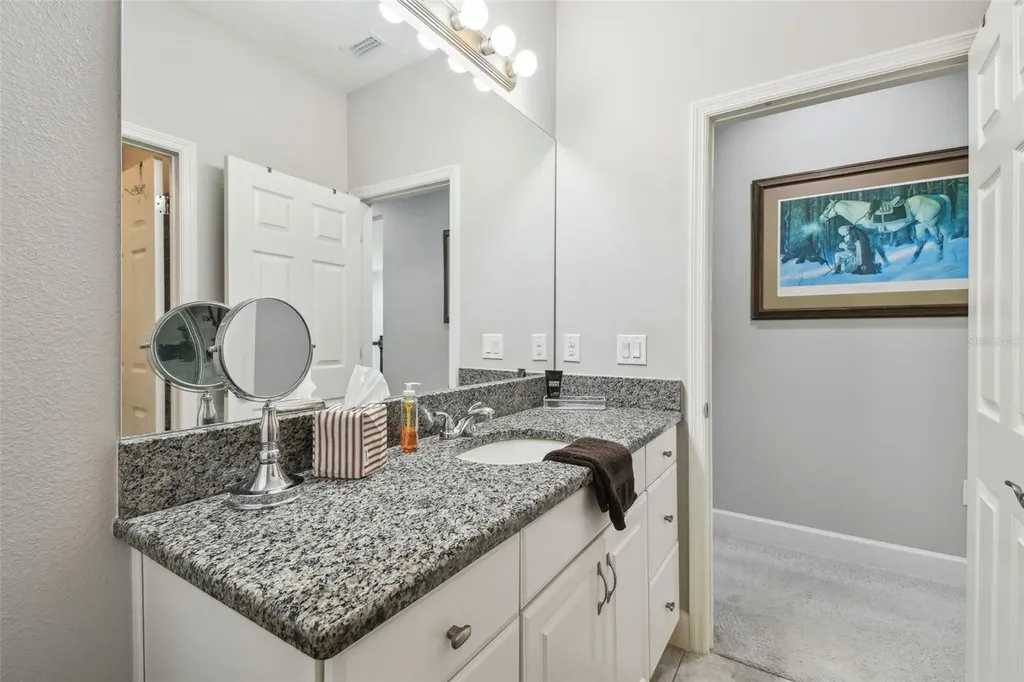 8747 Terracina Lake Drive Tampa FL 33625