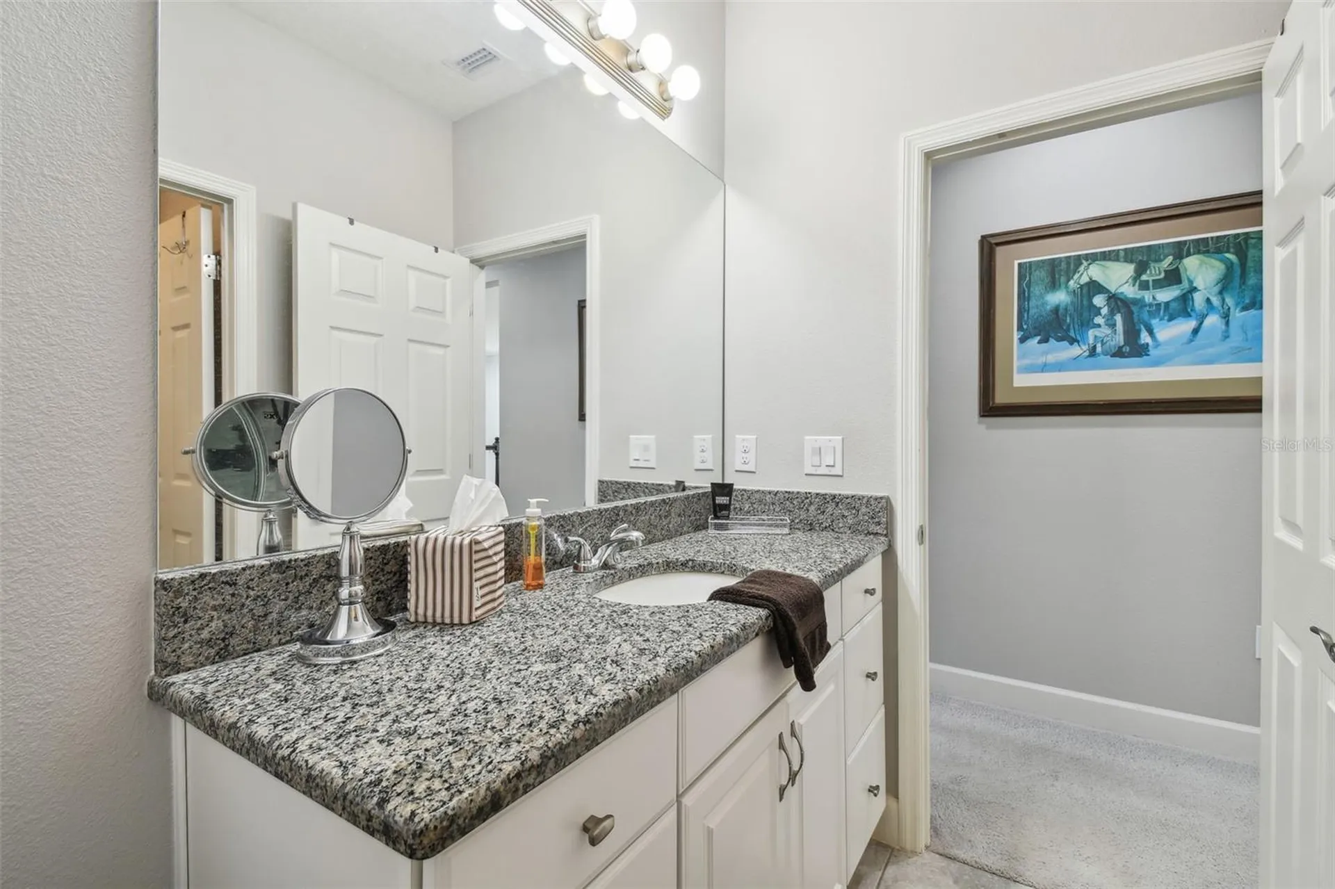 8747 Terracina Lake Drive Tampa FL 33625