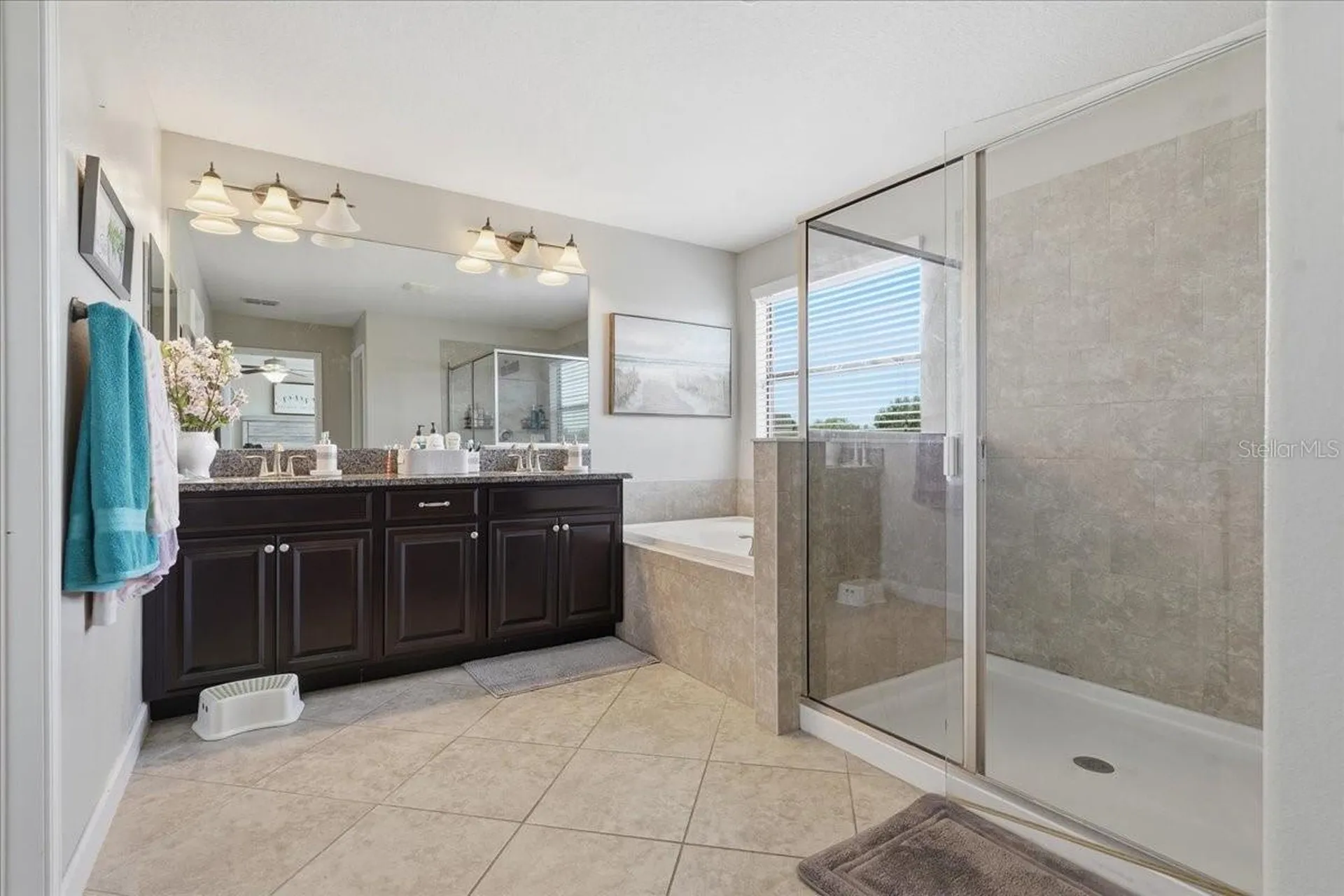 1020 Oliveto Verdi Court Brandon FL 33511