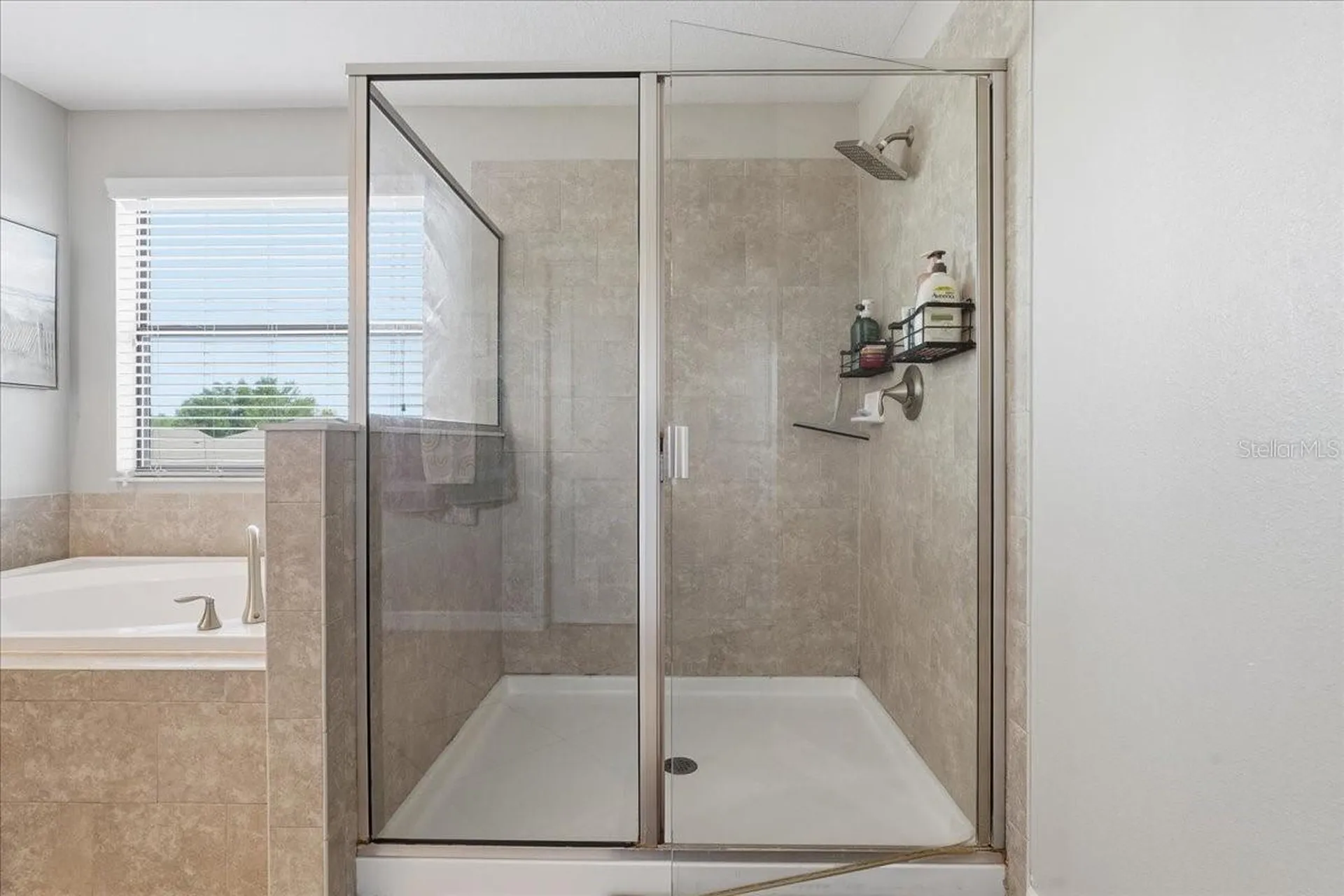 1020 Oliveto Verdi Court Brandon FL 33511