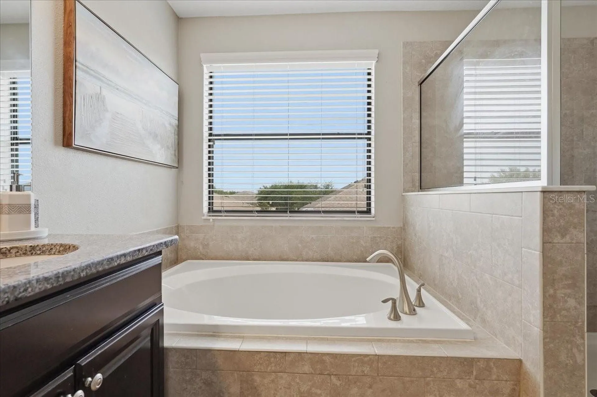 1020 Oliveto Verdi Court Brandon FL 33511