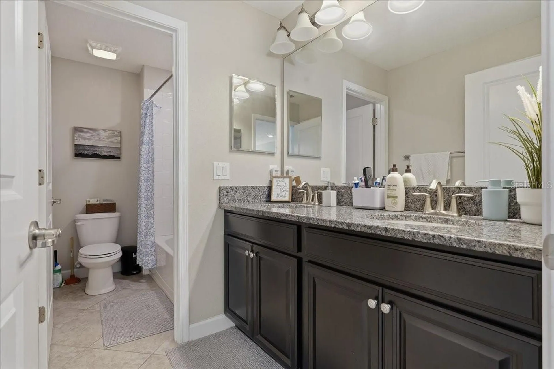 1020 Oliveto Verdi Court Brandon FL 33511