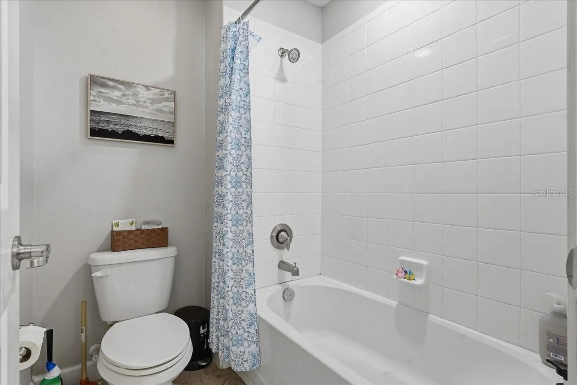 1020 Oliveto Verdi Court Brandon FL 33511
