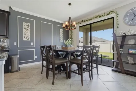 1020 Oliveto Verdi Court Brandon FL 33511