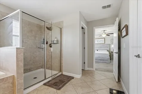 1020 Oliveto Verdi Court Brandon FL 33511