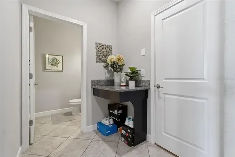 1020 Oliveto Verdi Court Brandon FL 33511