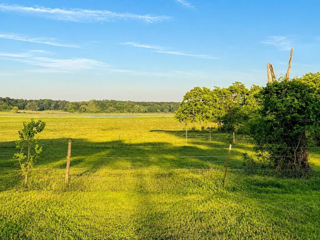 Mondon Hill Road Brooksville FL 34601