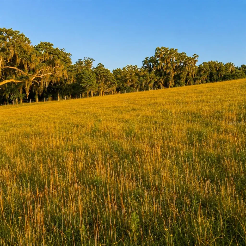 Mondon Hill Road Brooksville FL 34601