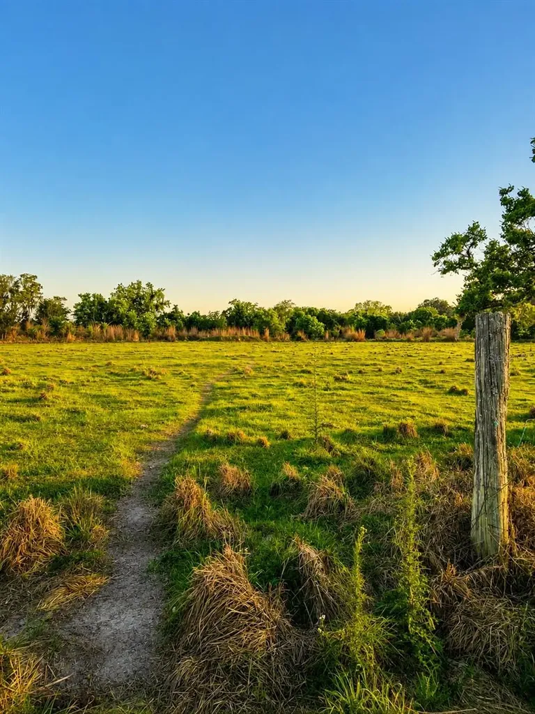 Mondon Hill Road Brooksville FL 34601