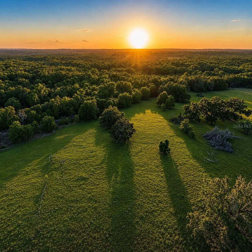 Mondon Hill Road Brooksville FL 34601