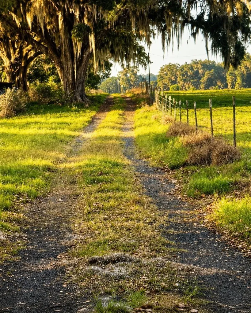 Mondon Hill Road Brooksville FL 34601
