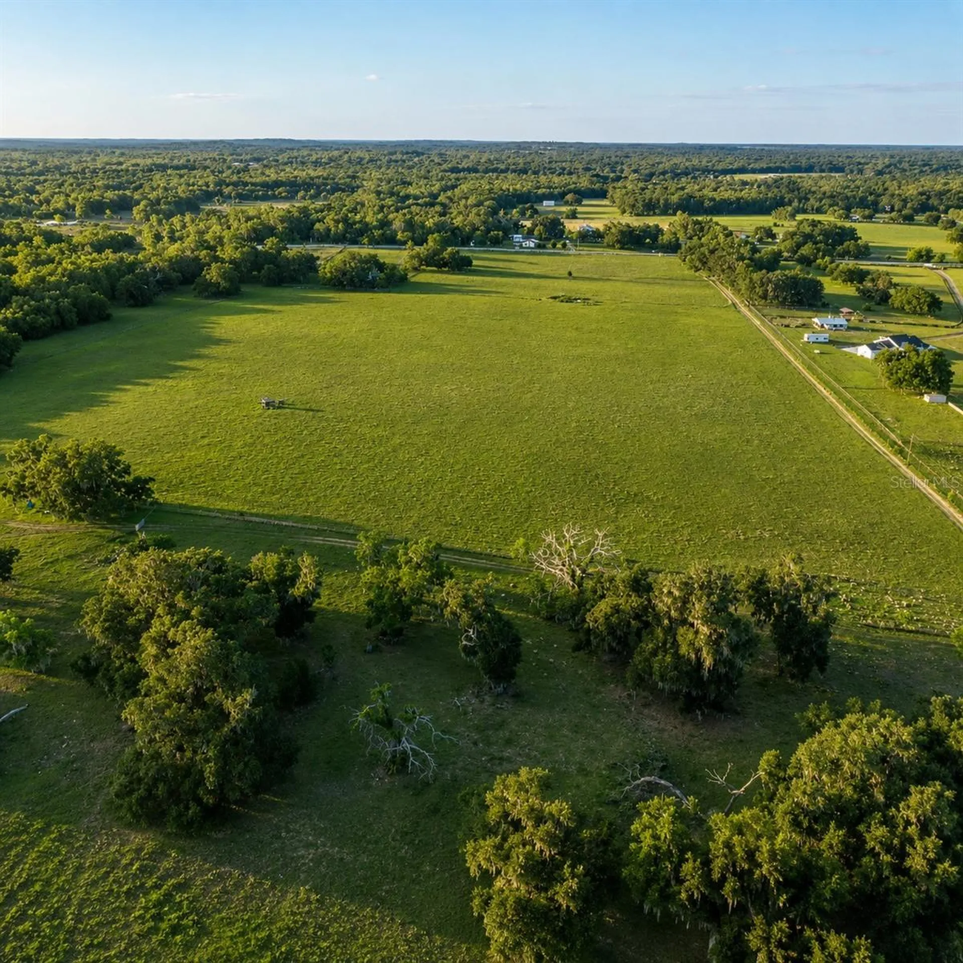 Mondon Hill Road Brooksville FL 34601
