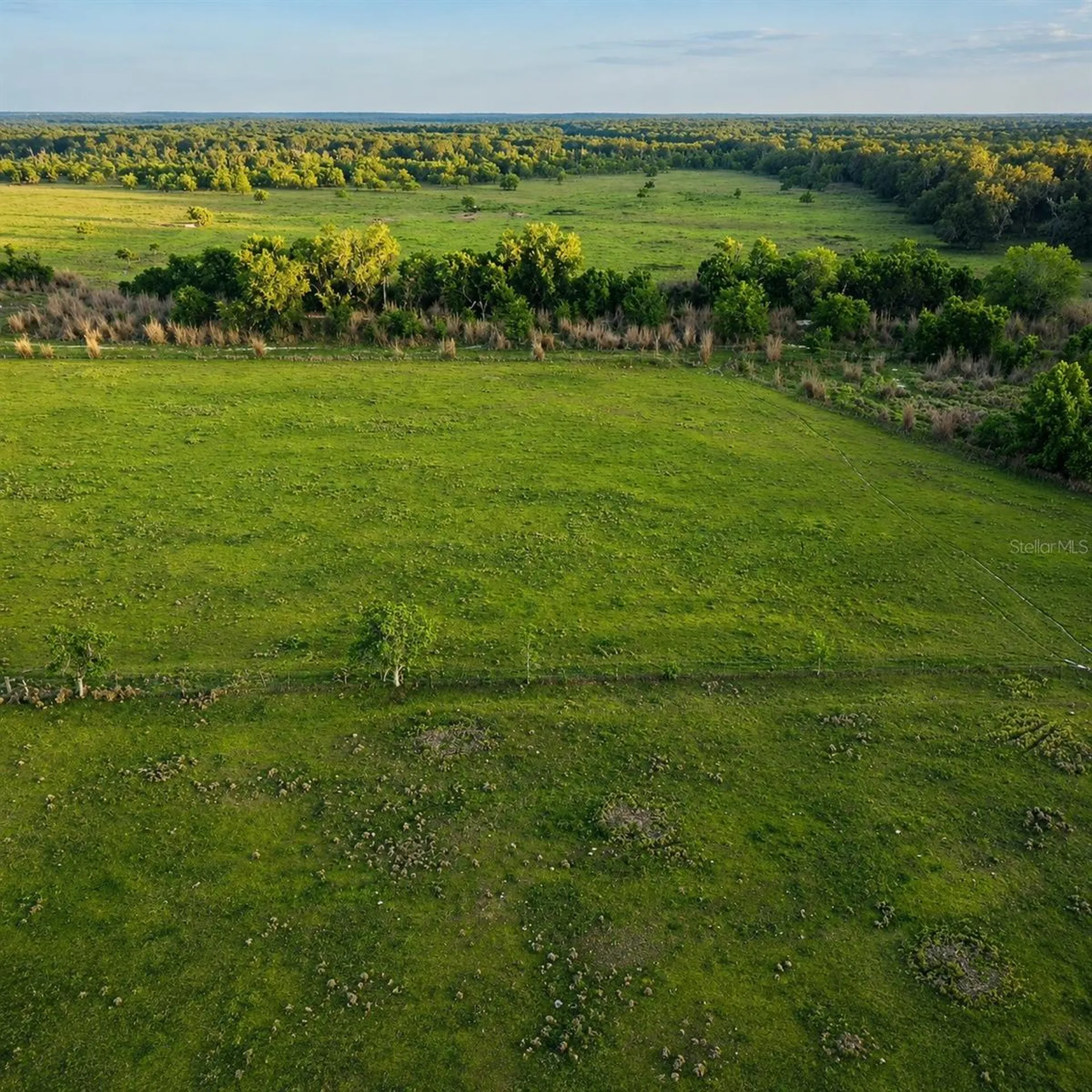 Mondon Hill Road Brooksville FL 34601