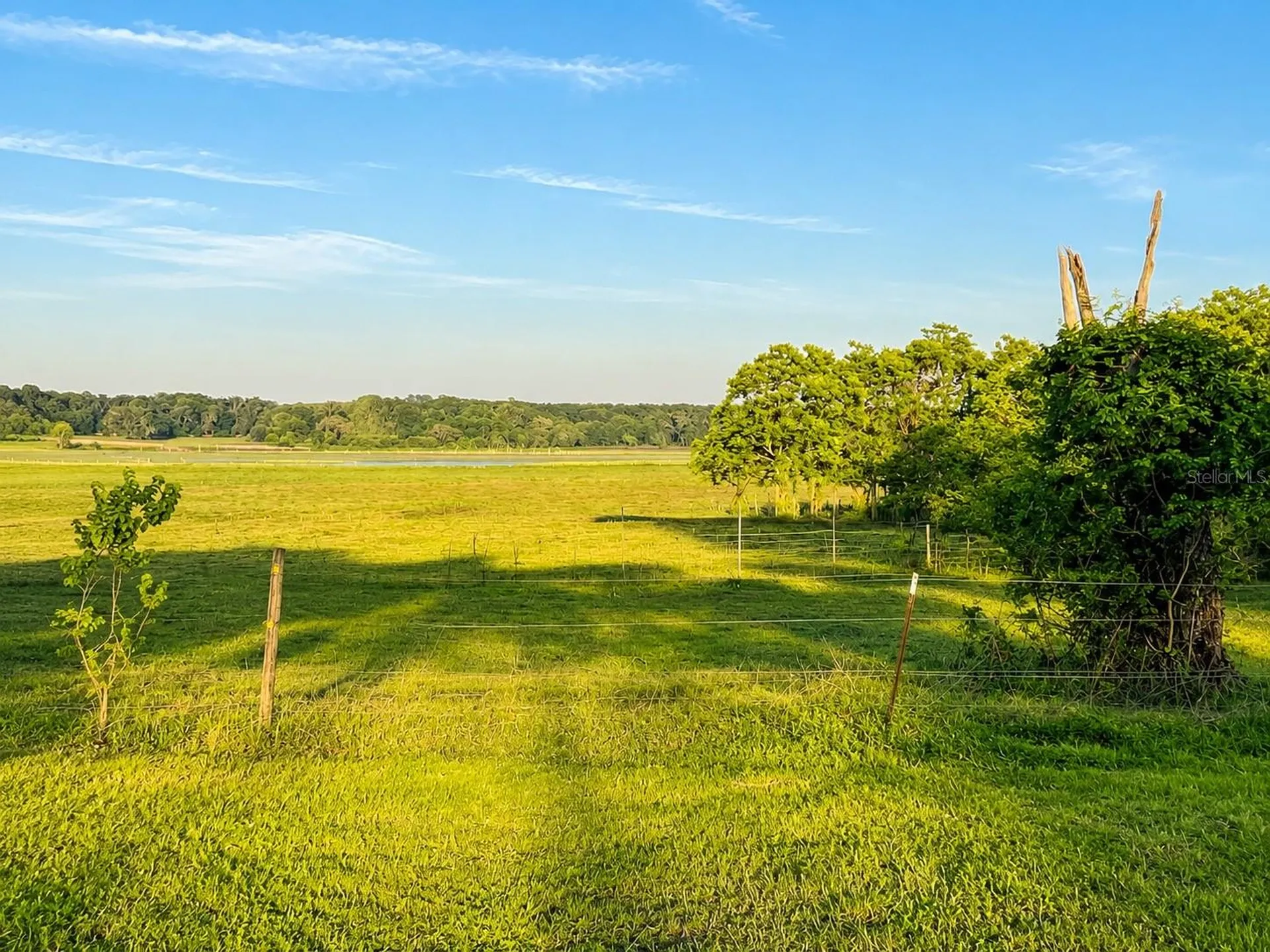 Mondon Hill Road Brooksville FL 34601