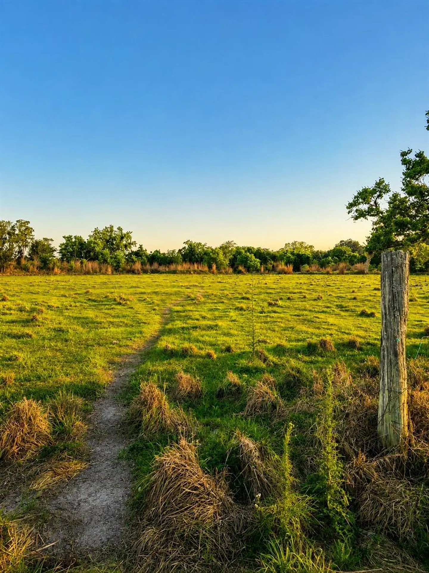 Mondon Hill Road Brooksville FL 34601