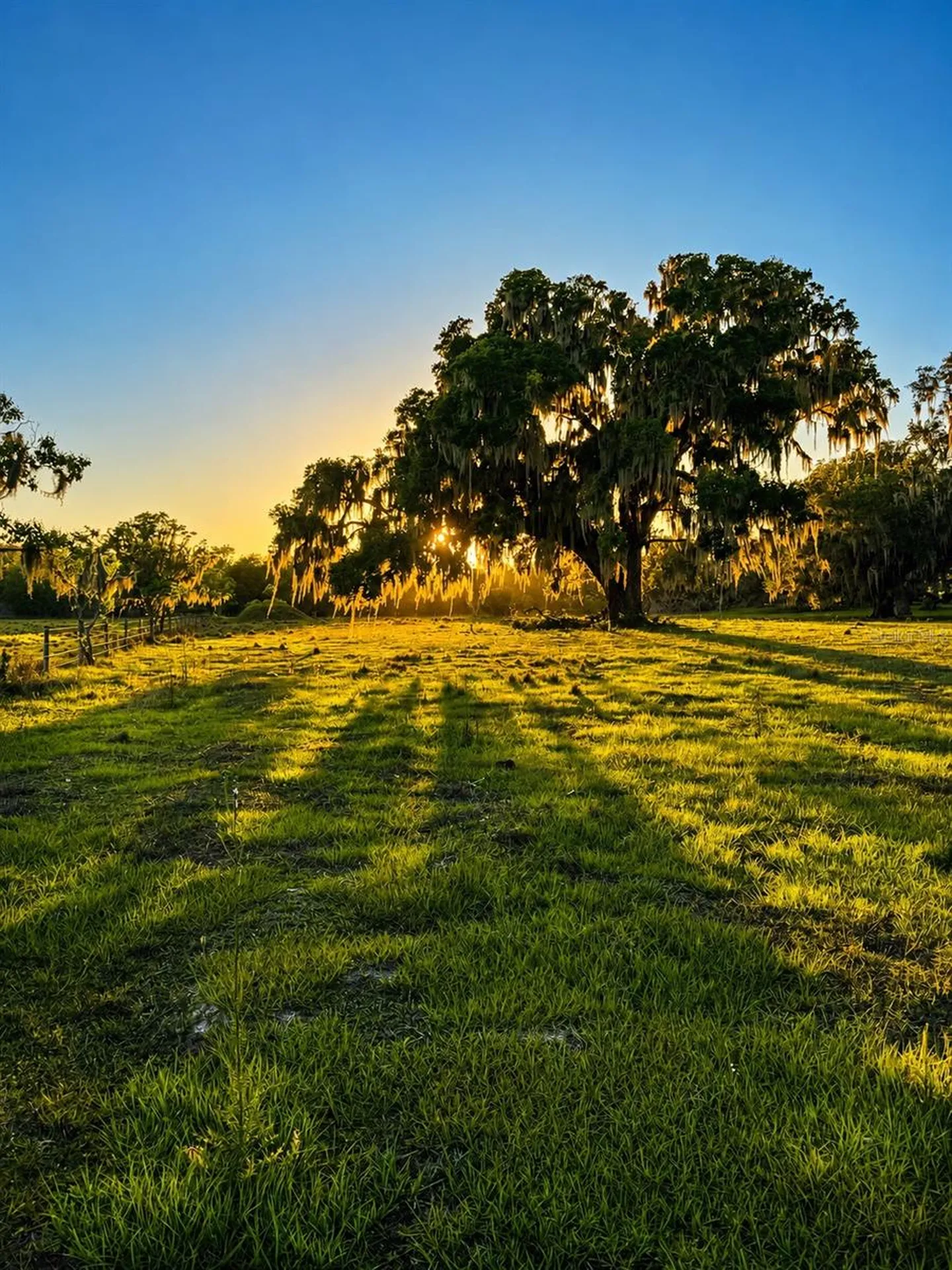 Mondon Hill Road Brooksville FL 34601