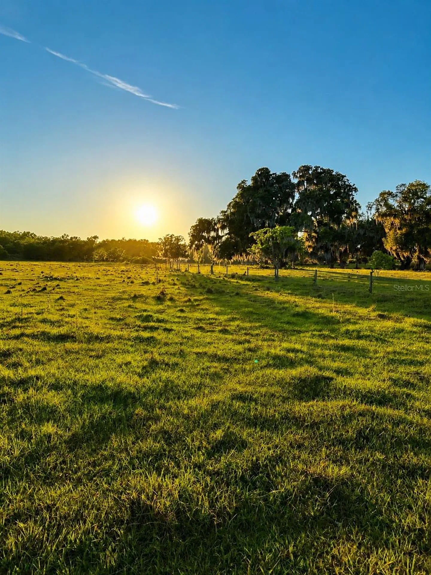 Mondon Hill Road Brooksville FL 34601