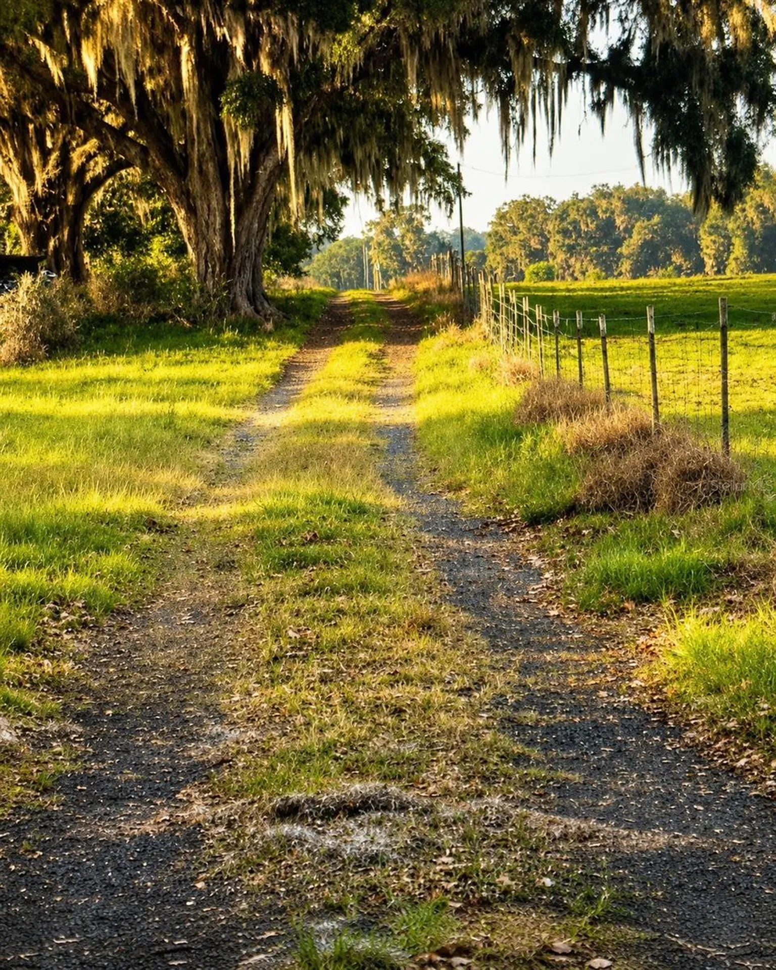 Mondon Hill Road Brooksville FL 34601
