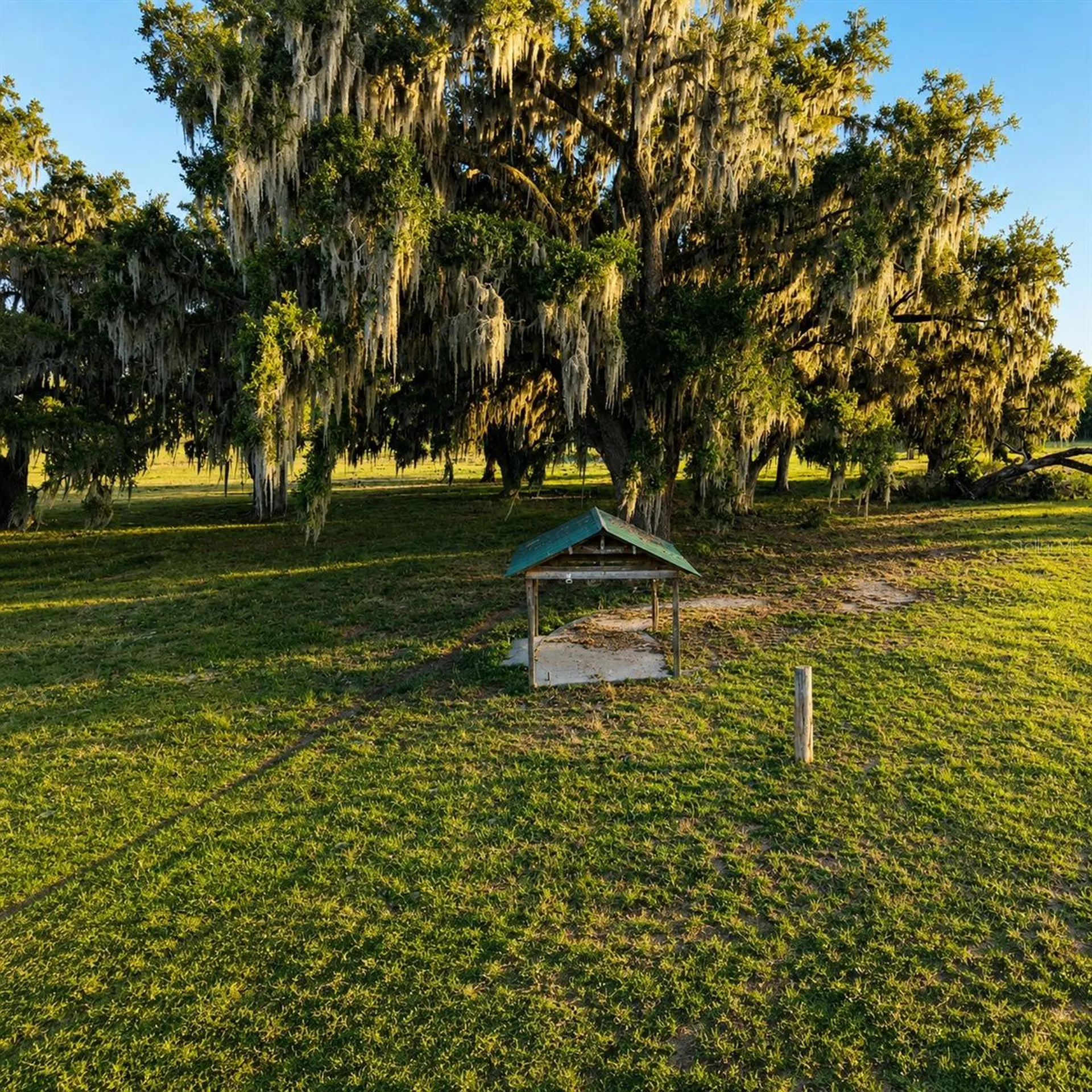 Mondon Hill Road Brooksville FL 34601