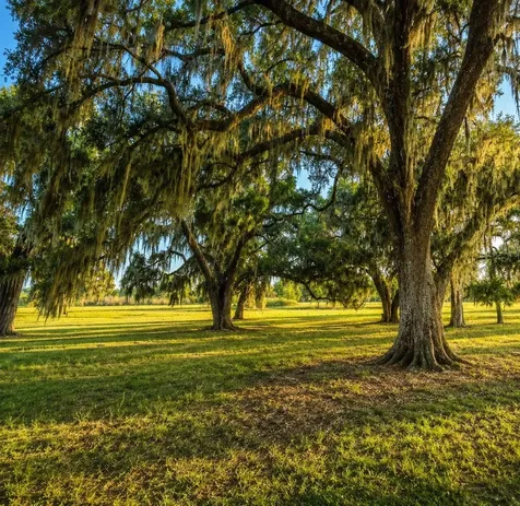 Mondon Hill Road Brooksville FL 34601