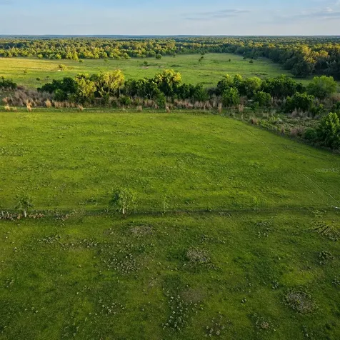 Mondon Hill Road Brooksville FL 34601