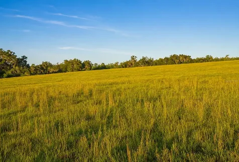 Mondon Hill Road Brooksville FL 34601