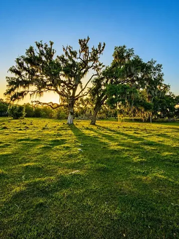 Mondon Hill Road Brooksville FL 34601