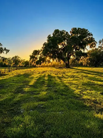 Mondon Hill Road Brooksville FL 34601