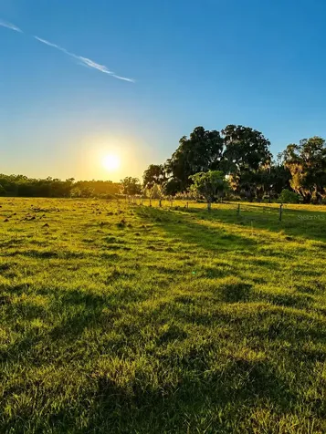 Mondon Hill Road Brooksville FL 34601