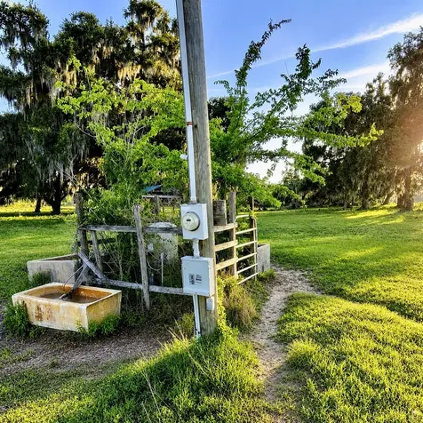 Mondon Hill Road Brooksville FL 34601