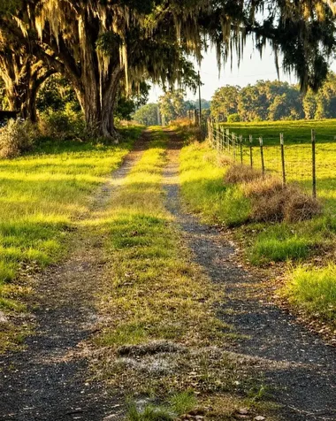 Mondon Hill Road Brooksville FL 34601